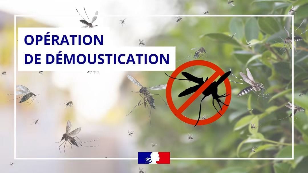 demoustication